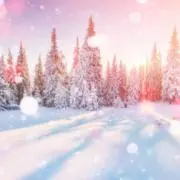 springの画像