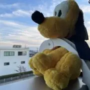 あおsora.の画像