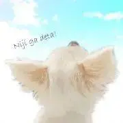 ゆずの画像