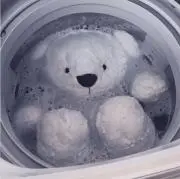 ねこんの画像