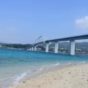 mugiの画像