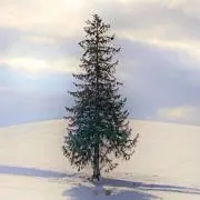 Akkoの画像