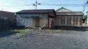 はしえもんの画像