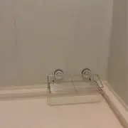 まきおの画像