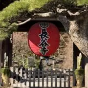 okgwtkmの画像