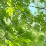 きゅんです♡の画像