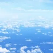 きなこの画像