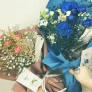 蜂の画像