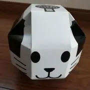 isshyの画像