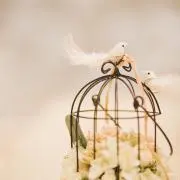Ririの画像