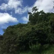shop109の画像