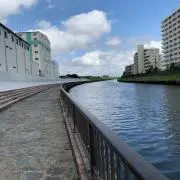 fielの画像
