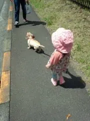 ハリーForeverの画像