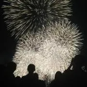 せみ
