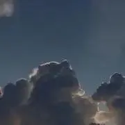 dyn( ◠‿◠ )の画像