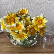 あきらの画像