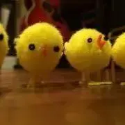 abcの画像