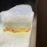 なべ