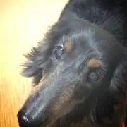 まぁ