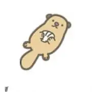 Raccoの画像