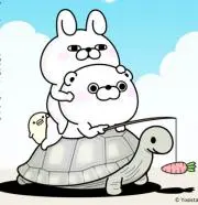 のの