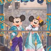 ニンニンの画像