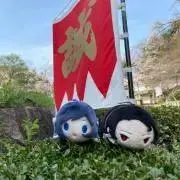 みくの画像