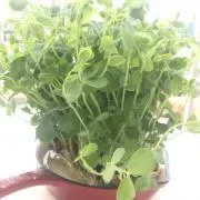 断捨離中〜の画像
