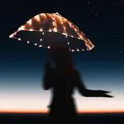 るりの画像