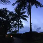 hanaの画像