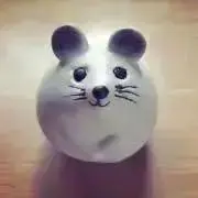 ほっちゃの画像