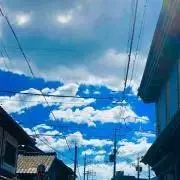 りあらの画像
