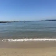 pooの画像
