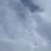ゆんの画像