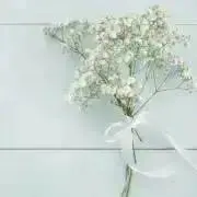 hmꪔ̤̮の画像