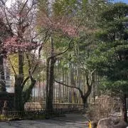 すてぃーぶ　プロフ必読の画像