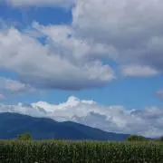 つきの画像