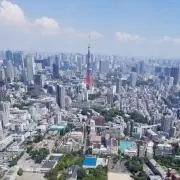 Tokyo Papaの画像