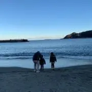 よんの画像