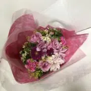 ミッチーの画像