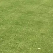キタノシマ
