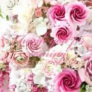 Mariaの画像