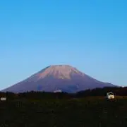 やさいの画像