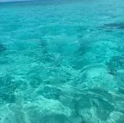 なぎさ