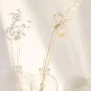 ゆりまるの画像