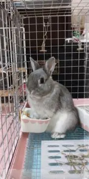 そら
