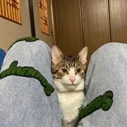 ぬちすつの画像