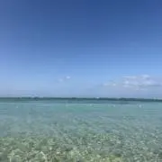 おさかなちゃん　即購入⭕️の画像