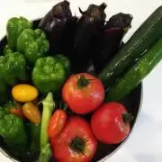 もりのひだまりの画像