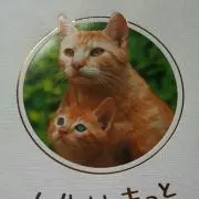 ☆まさ☆プロフ読んで下さいね